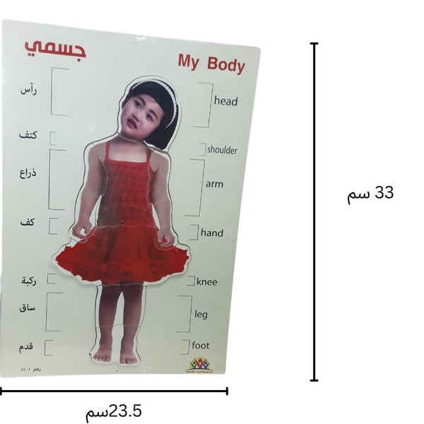 بازل جسم الإنسان بنت خامة خشبية